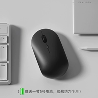 Чан Блэк [модель батареи]