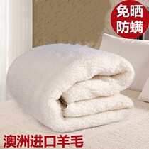 Olympic Australia imports thickened natural wool beds and student dormitory cavity-free sun-free luxury mattress