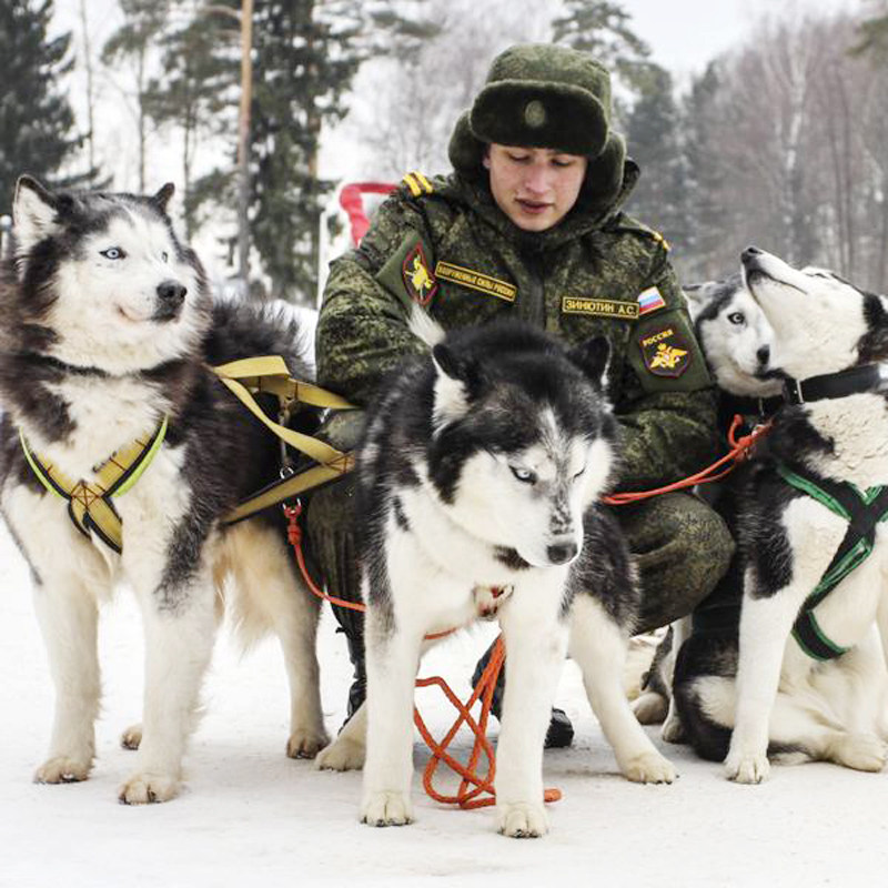 Russian Russian army New VKBO lv8 cotton suit suit EMR little green man camouflage P cotton cold suit