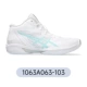1063a063-103 【v15】 t Stock Spot sf