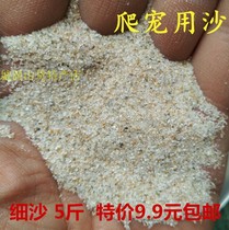 Reptile sand mat mane lion lizard guard supplies crawl calcium sand Brazilian tortoise hibernation hatching egg special fine sand