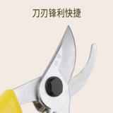 Магазин, ножницы, садоводство, обрезка сада