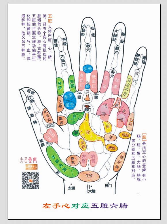 Left hand heart corresponds to five viscera six viscera) plastic package size photo paper optional