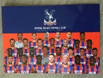 Crystal Palace official family Card 8 inch Premier League 2017-2018 season Li Qinglong Zaha
