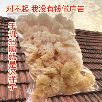 Nemont Zhengzong Deep Mountain Linden Wood Silver Ear Dry Goods 250 gr Natural Wild Nature Small Glutinous Ear Out Glue No Sulphur White Agaric Scattered