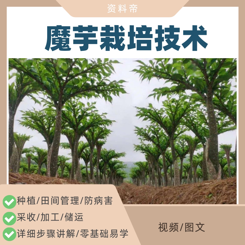 Konjac Cultivation Technology Tutorial Video: Planting, Management, Processing, Utilization, High-Yield Methods, Complete Set of Disease and Pest Control Konjac Cultivation Technology Tutorial Video: Planting, Management, Processing, Utilization, High-Yield Methods, Complete Set of Disease and Pest Control