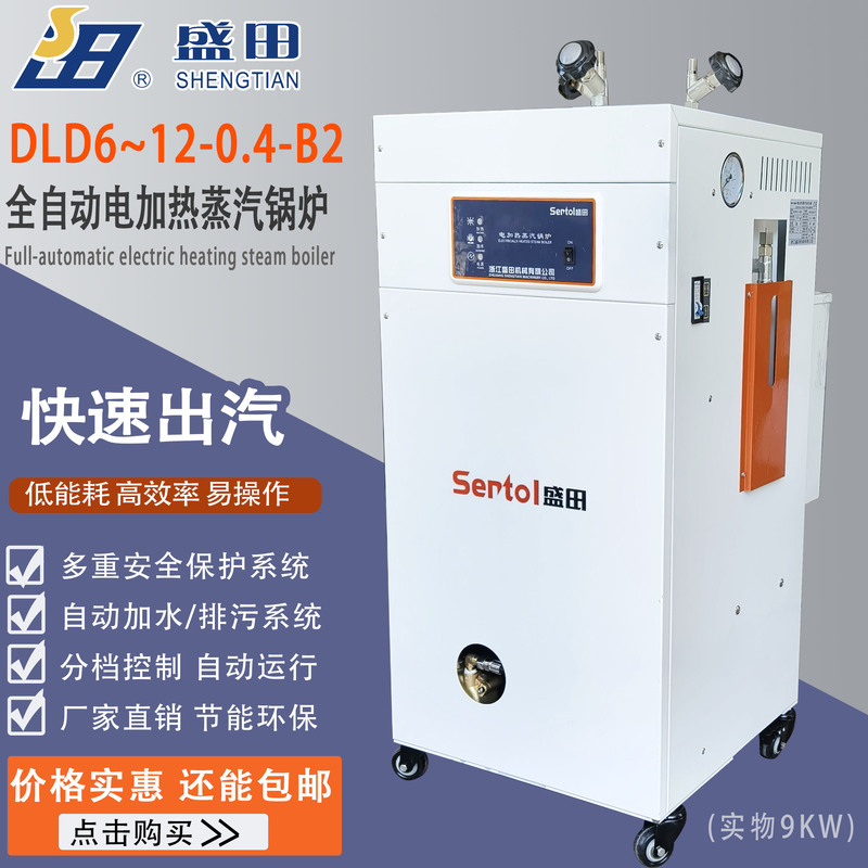 Shengtian Steam Generator Electric Boiler Steamer Shengtian High-Quality Ironing Machine 3/6/9/12Kw Steam Boiler