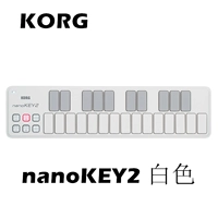 Nanokey2 (белый)