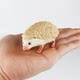 Children's toy simulation wild animal model hedgehog thorn group hedgehog rat stealing melon badger flower pot garden ornaments awareness