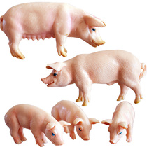 Simulation animal pig Piggy parent-child Farm toy plastic ornaments House model micro landscape garden decoration
