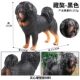 Simulated Wild Animal Toy Model Dog Tibetan Bully Bulldog Bulldog Strange Bulldog Doberman Golden Retriever