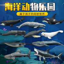 Simulation marine animal solid model toy whale underwater world beluga children cognition great white shark killer whale