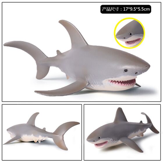 Children's Toys Solid Realistic Marine Life Model Great White Shark Megalodon Whale Shark Tiger Shark Blue Whale Figurine