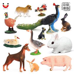 Simulated Animal Models: Peacock, Pheasant, Goose, Duck, Pig, Rabbit, Dog, Mandarin Duck, Farm Animals, Children's Cognitive Toys and Ornaments