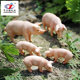 Children's Toys, Simulated Animal Models, Domestic Pigs, Piglets, Family Farm Ornaments, Play House, Micro-Landscape Garden Decoration