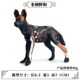 Simulated Wild Animal Model Solid African Wild Dog Earthwolf Hunting Dog Model Kidsren's Plastic Toy Cognitive Ornaments
