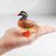 Children's Toys, Simulated Mandarin Duck Ornaments, Bird Models, Desktop Decorations, Bonsai Landscaping Ornaments, Hand-Made Figures for Early Education