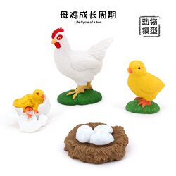 Children's Educational Cognitive Toys, Simulated Farm Animal Models, Hen Growth Cycle, Growth Process, Boy's Gift