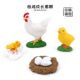 Children's Educational Cognitive Toys, Simulated Farm Animal Models, Hen Growth Cycle, Growth Process, Boy's Gift