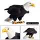 Children's Toys Solid Artificial Wildlife World Bird Model Ornaments Eagle Large White Head Sea Sculpture Figure