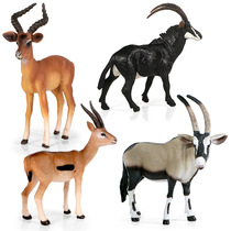 Simulation of wild solid animal model world Tibetan antelope static antelope gazelle childrens toys cognitive ornaments