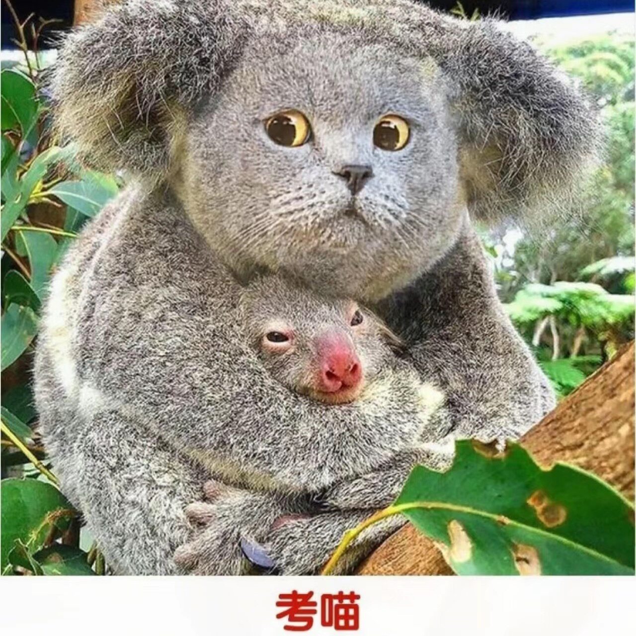 超能小鹿生活店