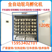 Intelligent Ostrich Hatching Machine Home Fully Automatic Hatching Equipment Emu Incubators Chicken Duck Goose Pigeon Egg Hatching Box