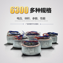 Toroidal transformer BOD-100VA 100W 220V to 220V safety isolation 1:1 ring cow converter