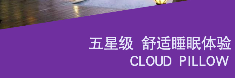 Gối lõi cộng với vỏ gối đặt sinh viên cổ gối ký túc xá gối người lớn gối đơn goi cao su