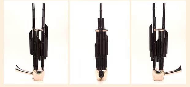Sheng Hongyi nhạc cụ chuyên nghiệp cho người mới bắt đầu 14 mùa xuân Fang D D xuống B có thể điều chỉnh E âm thanh nhạc cụ quốc gia dành cho người lớn mua đàn nguyệt