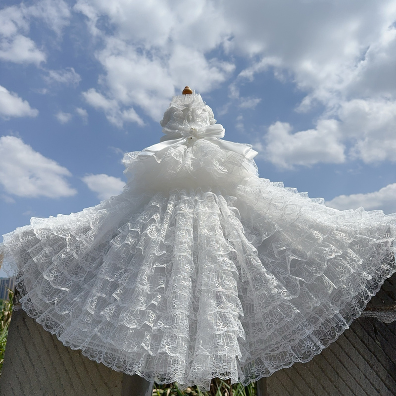 Pure White Princess Sissi Cake Lace Detachable Long and Short Dual-Use Tail Dress for Bear, Foam Pet, Cat and Dog Photography