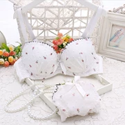 Phong cách mục vụ ngọt ngào học sinh trung học Nhật Bản khuôn mỏng cup mùa hè dễ thương cotton bra phù hợp với đồ lót thoải mái