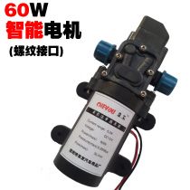 Car Wash Pump Electric Car Wash Machine Washing Machine Portable High Pressure Vehicle 12v Home Water Pump Beating Drug Pump Special Price Promotion
