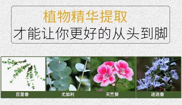 Chăm sóc lưng massage tinh dầu thông qua kinh tuyến cạo mở dầu massage lưng eo vật lý trị liệu thẩm mỹ viện đẩy dầu chính hãng - Tinh dầu điều trị tinh dau xit phong