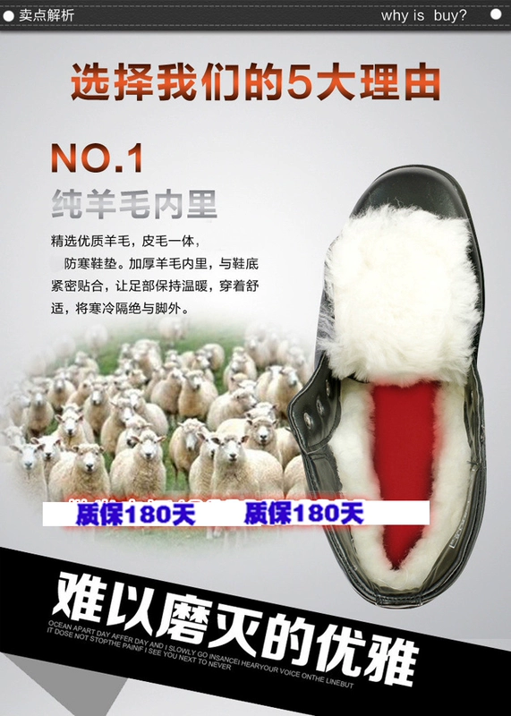 Giày nam 07 da lộn chính hãng