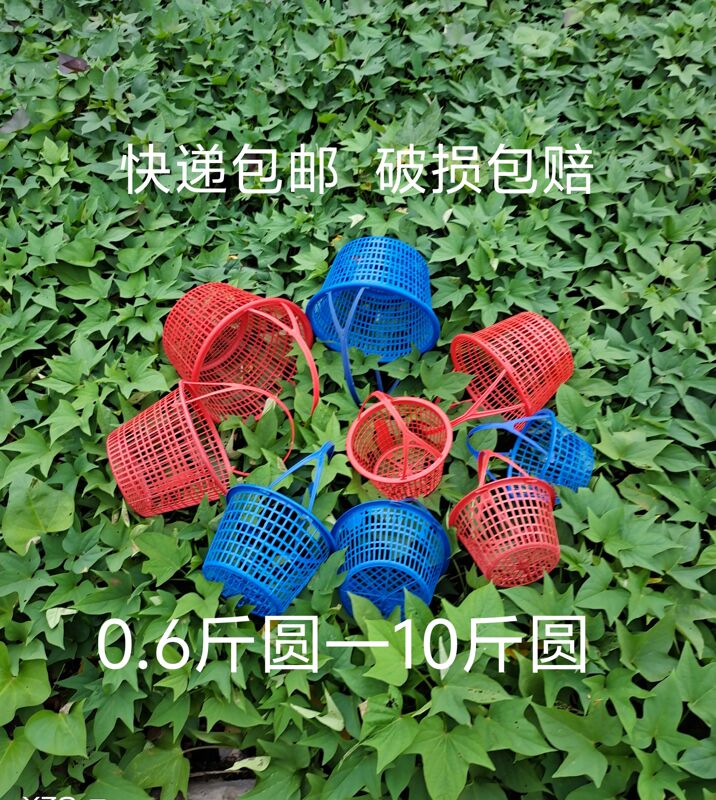 0.5-5kg Round Baskets for Strawberries, Mulberries, Cherries, Figs, Bayberries, Loquats, Grapes, and Fruit Picking
