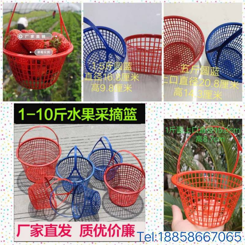 Factory special wholesale 1-10 pounds round bayberry basket Strawberry basket mulberry basket Cherry basket picking fruit basket