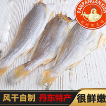 Wild slightly salty rhubarb flower fish Dried salted fish 500g salted yellow croaker sea fish Dried seafood Dried small yellow fish