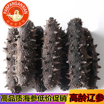 Dalian pure light dried sea cucumber dry goods specialty bottom sowing wild Liao thorn ginseng Non-ready-to-eat dried sea cucumber 7-9 years ginseng 50g