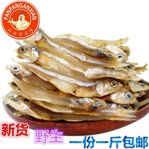 New wild dried petrel fish dried dried goods 500g small whitebait dried salted fish 1 catty