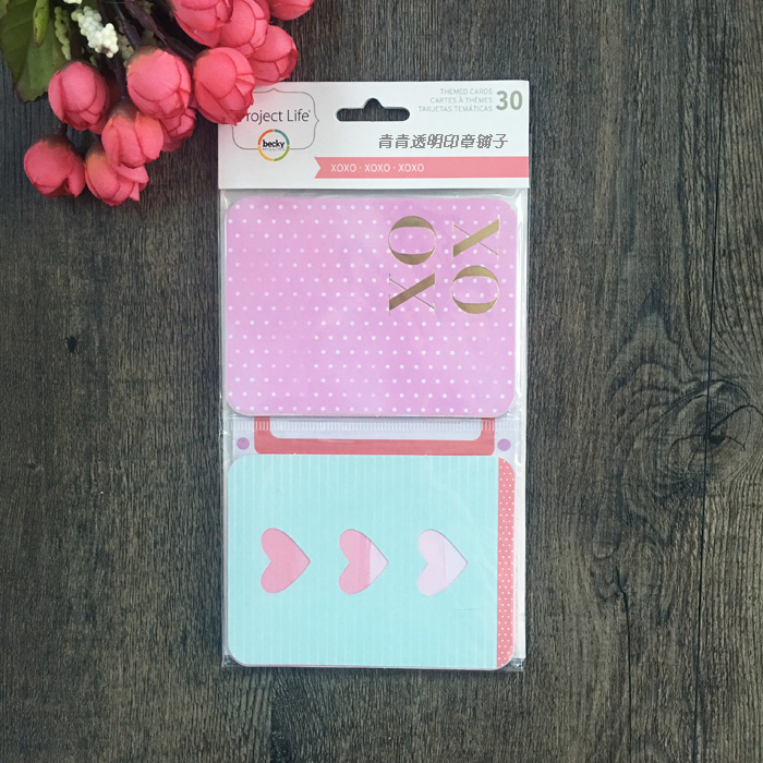 Project Life 30 LOG SUBJECT CARDS XOXO theme card-Taobao