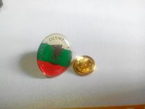 Olympic badge Bulgarian Olympic Committee badge Bulgarian NOC green badge