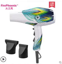 Fire Phoenix hair dryer high power barber shop does not hurt hair silent electric air tube professional hair salon dedicated 8960