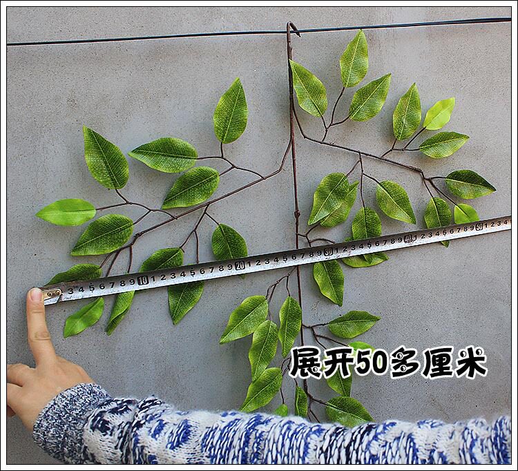 详情图
