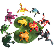 Simulation soft glue large insect model reptile childrens early education toy ocean Frog Toad scary props