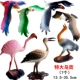 Mô phỏng Bird Zoo Mô hình Chim Flamingo Vẹt đà điểu Con công cần cẩu Đại bàng Đồ chơi trẻ em bằng nhựa - Đồ chơi gia đình