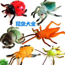 Bulk simulation animal insect model dragonfly children plastic toy animal model set cicada ladybug mantis
