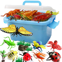 Simulation insect animal model toy doll butterfly Spider Dragonfly ladybug plant early education cognitive childrens gift package