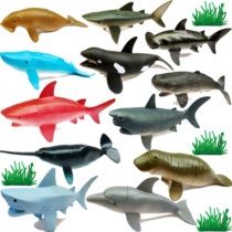 Big shark set marine animal model whale shark Dolphin great white shark tiger shark blue shark childrens toy teaching aids
