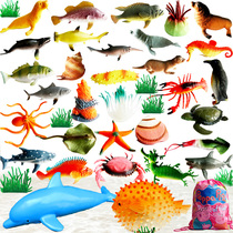 Simulation soft rubber marine animal model shark killer whale dolphin great white shark tropical fish set educational childrens toys